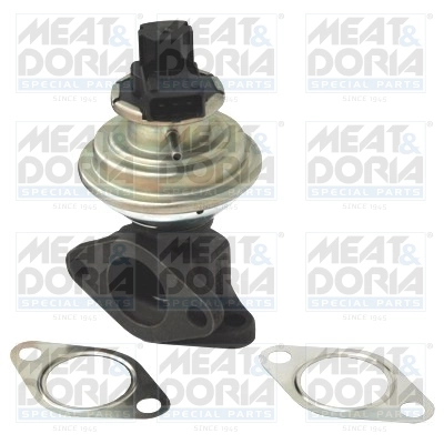 EGR Valve